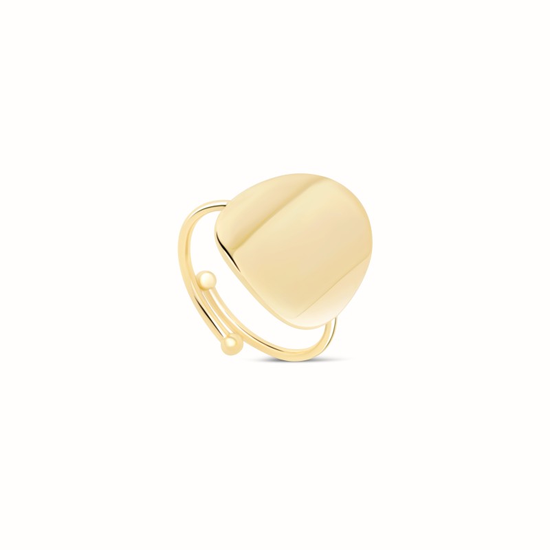 
<!-- begin modules/seoaltimages/views/templates/hook/alt.tpl -->
Ovale gold-plated ring-Home-Enomis
<!-- end modules/seoaltimages/views/templates/hook/alt.tpl -->
