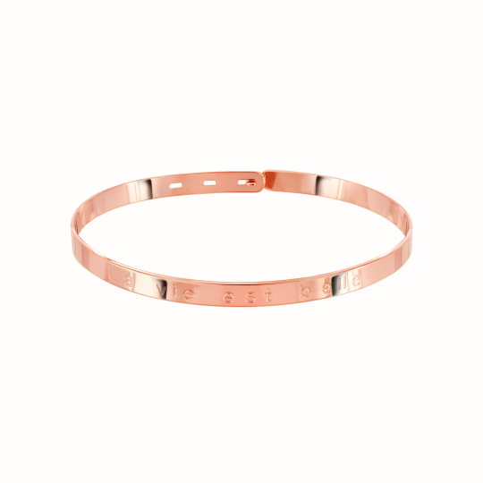 "La vie est belle"  rose...