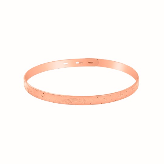 Shooting star rose...