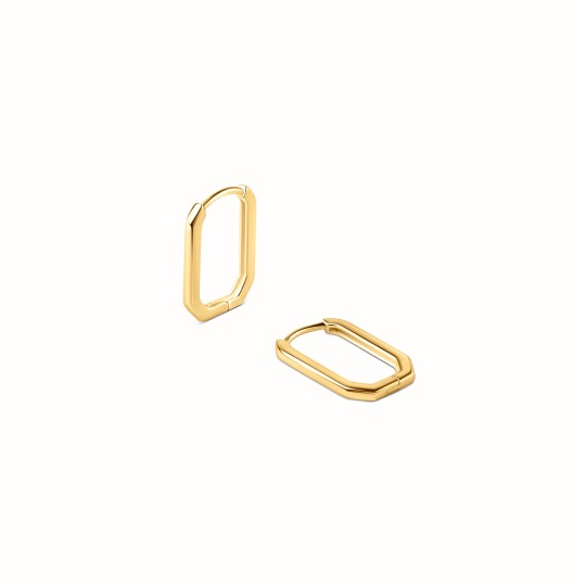 Apolline gold-plated earrings